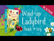 Load and play video in Gallery viewer, Wind-up Ladybird