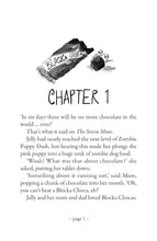Load image into Gallery viewer, The Great Chocoplot
