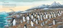 Load image into Gallery viewer, Jonty Gentoo - The Adventures of a Penguin
