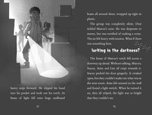 Load image into Gallery viewer, The Beast Beyond the Fence: The Breakfast Club Adventures
