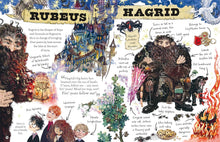 Load image into Gallery viewer, Hagrid (Pocket Potters – Little Guides To The HARRY POTTER Stories)
