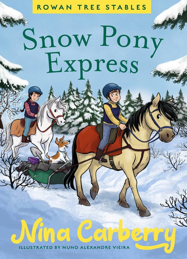 Snow Pony Express