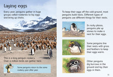 Load image into Gallery viewer, Penguins
