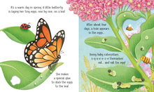 Load image into Gallery viewer, One Little Butterfly - Life Cycles Series
