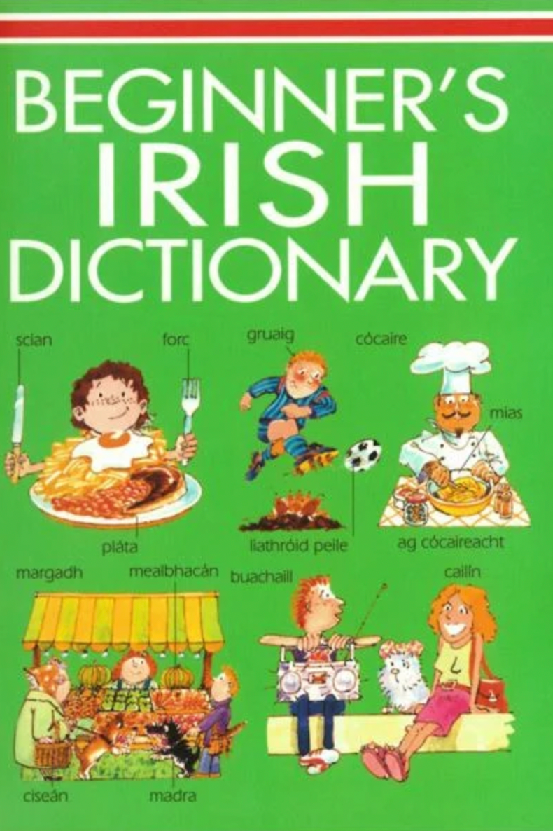 Beginner's Irish Dictionary