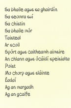Load image into Gallery viewer, Leabhar Mór Na bhFocal Gaeilge
