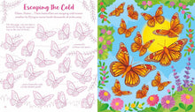 Load image into Gallery viewer, Usborne Scratch Activities Butterflies
