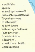 Load image into Gallery viewer, Leabhar Mór Na bhFocal Gaeilge
