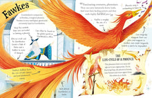 Load image into Gallery viewer, Professor Dumbledore (Pocket Potters – Little Guides To The Harry Potter Stories)
