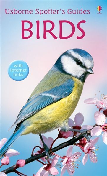 Birds Spotter’s Guide
