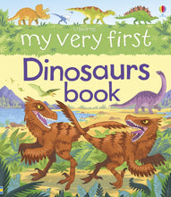 Load image into Gallery viewer, My Very First Dinosaurs Book
