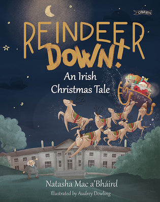 Reindeer Down! An Irish Christmas Tale